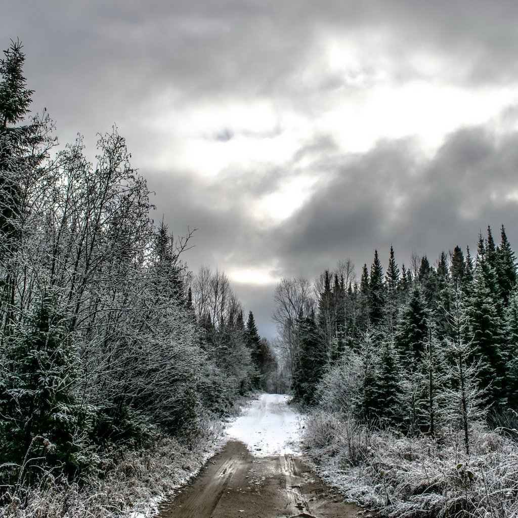 Обои дорога, лес, тучи, зима, ели, road, forest, clouds, winter, ate разрешение 1920x1280 Загрузить