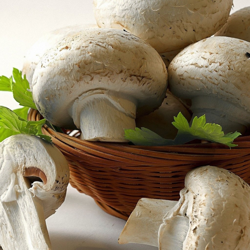 Обои зелень, грибы, белые, лукошко, шампиньоны, greens, mushrooms, white, basket разрешение 1920x1272 Загрузить
