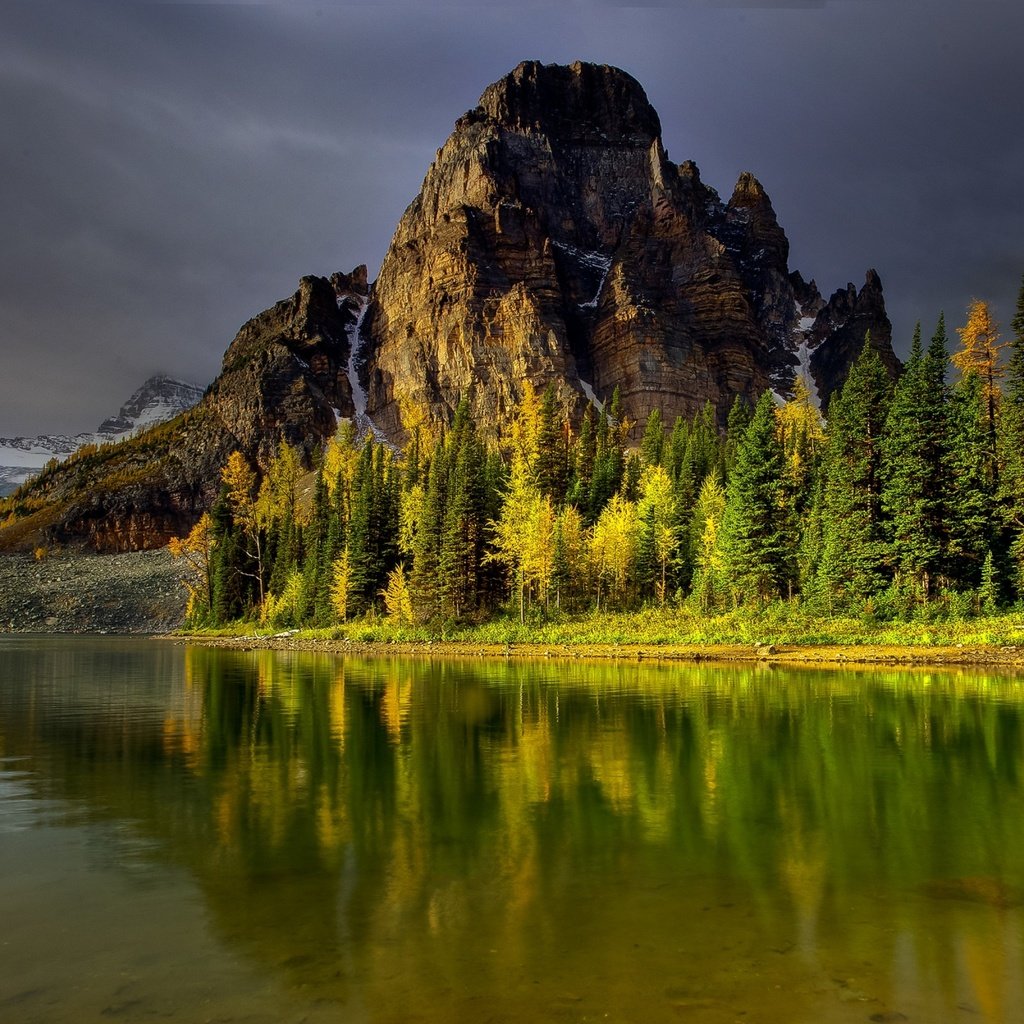 Обои небо, деревья, озеро, горы, лес, отражение, водоем, the sky, trees, lake, mountains, forest, reflection, pond разрешение 2560x1600 Загрузить