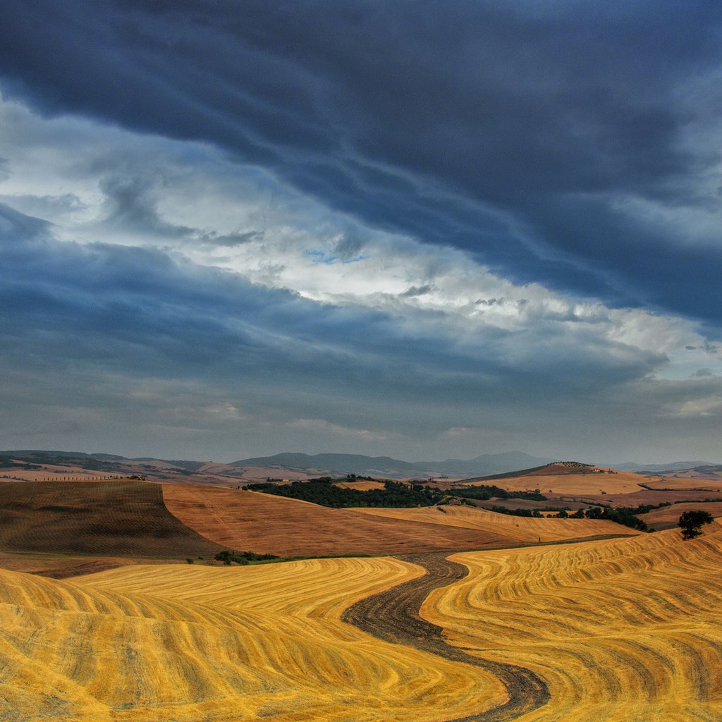 Обои небо, облака, поля, горизонт, урожай, пасмурно, the sky, clouds, field, horizon, harvest, overcast разрешение 1920x1200 Загрузить