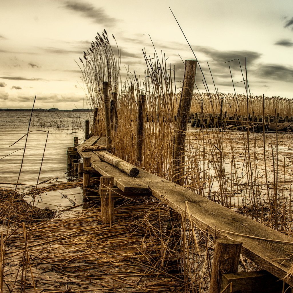 Обои река, пейзаж, мост, пасмурно, камыш, river, landscape, bridge, overcast, reed разрешение 2578x1440 Загрузить