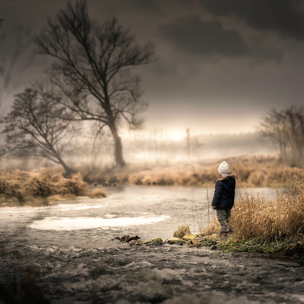 Обои вода, дерево, ручей, дети, ребенок, течение, сухостой, water, tree, stream, children, child, for, deadwood разрешение 2048x2042 Загрузить