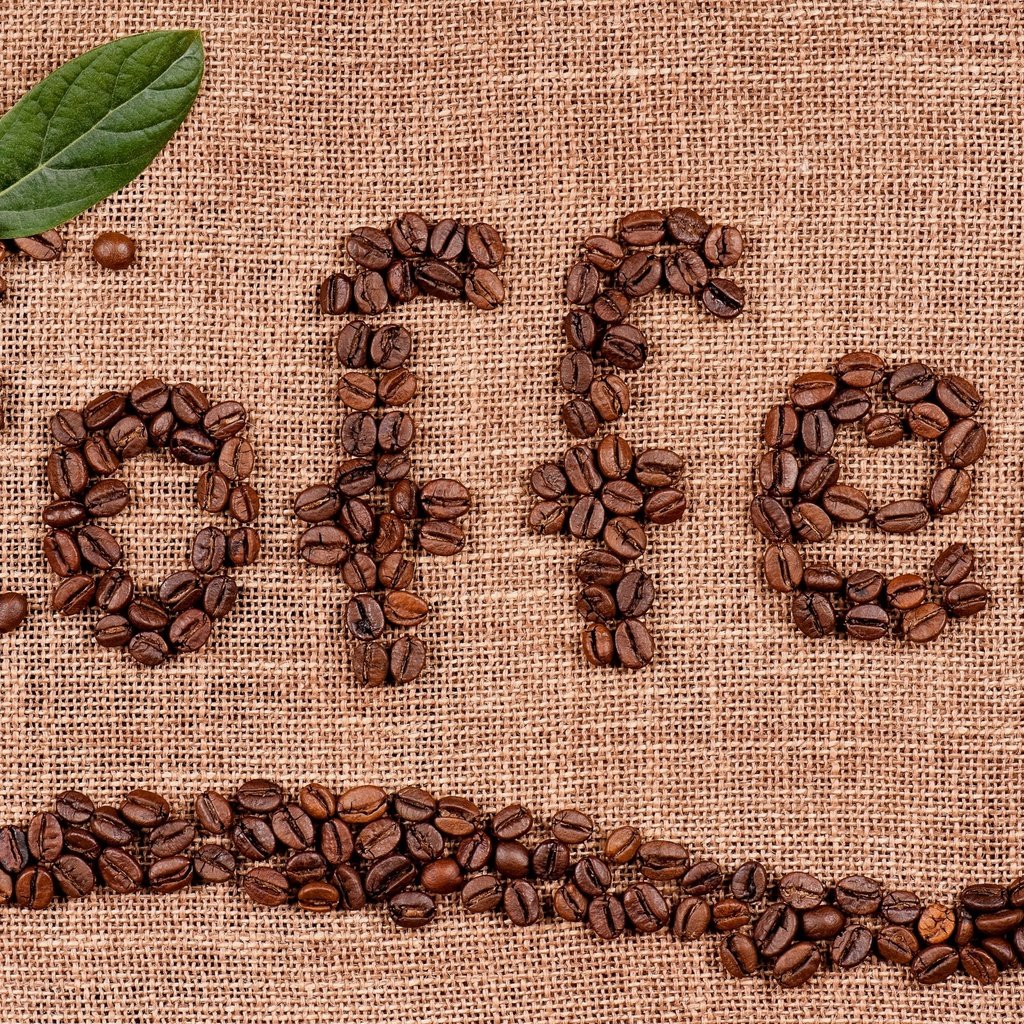 Обои зерна, кофе, листик, кофейные зерна, мешковина, grain, coffee, leaf, coffee beans, burlap разрешение 2555x1600 Загрузить