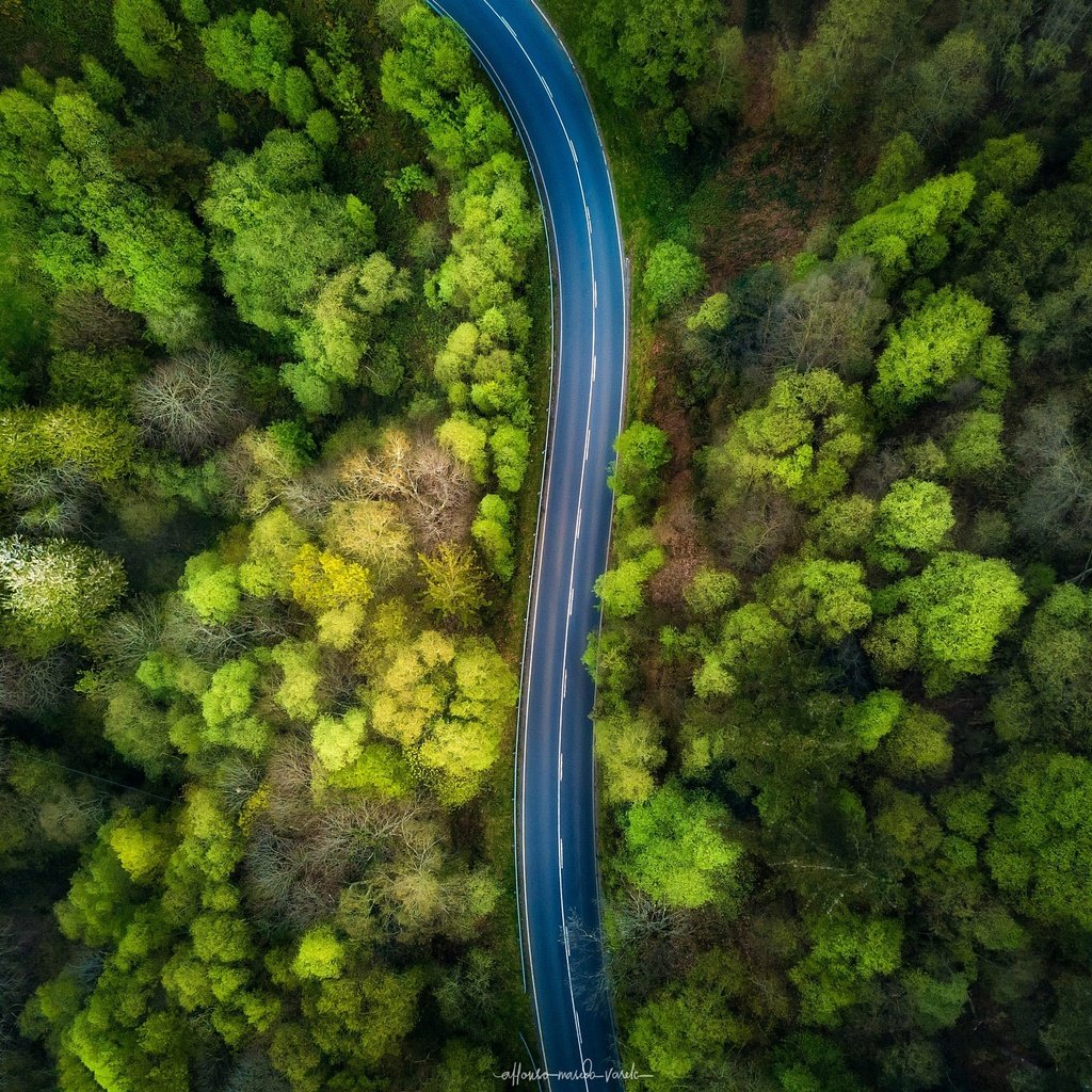 Обои дорога, деревья, природа, лес, вид сверху, road, trees, nature, forest, the view from the top разрешение 2048x1532 Загрузить