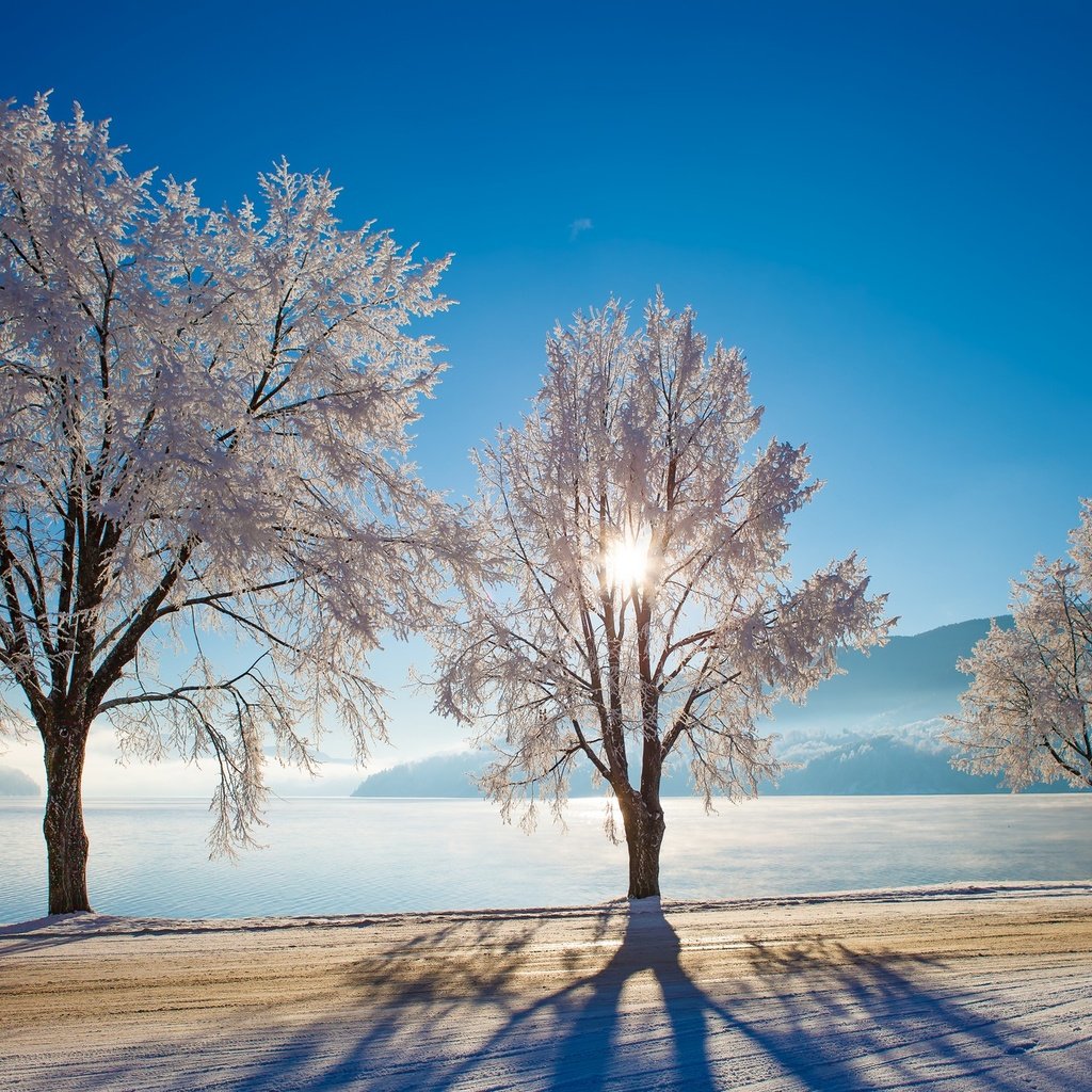 Обои небо, дорога, деревья, озеро, солнце, снег, зима, the sky, road, trees, lake, the sun, snow, winter разрешение 2048x1365 Загрузить