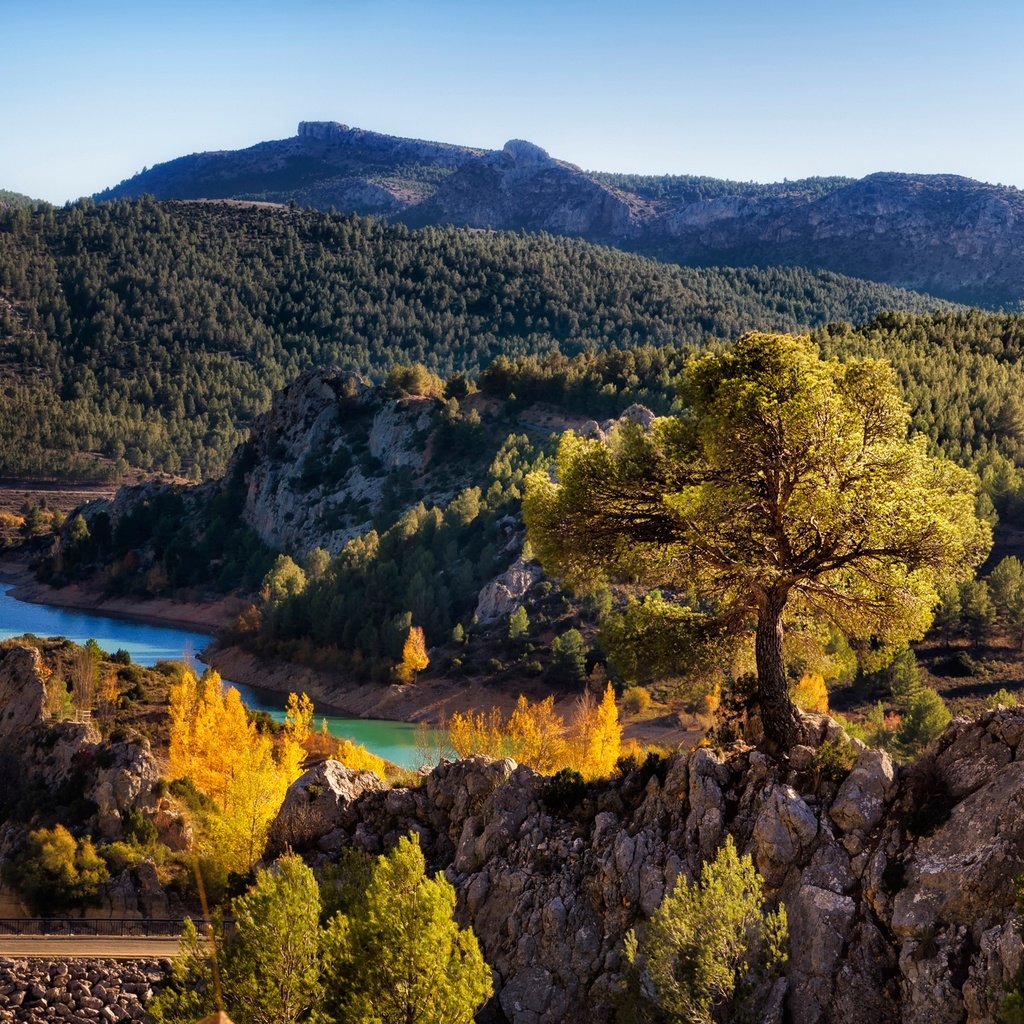 Обои дорога, солнечно, деревья, nerpio, albacete, река, горы, камни, лес, осень, испания, road, sunny, trees, river, mountains, stones, forest, autumn, spain разрешение 2900x1860 Загрузить