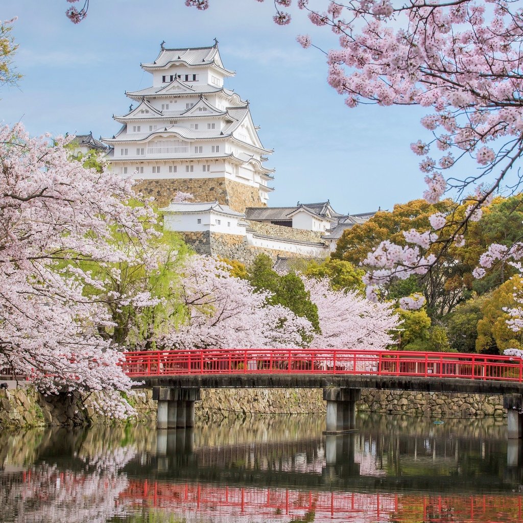 Обои мост, замок, япония, сакура, химэдзи, bridge, castle, japan, sakura, himeji разрешение 2048x1341 Загрузить