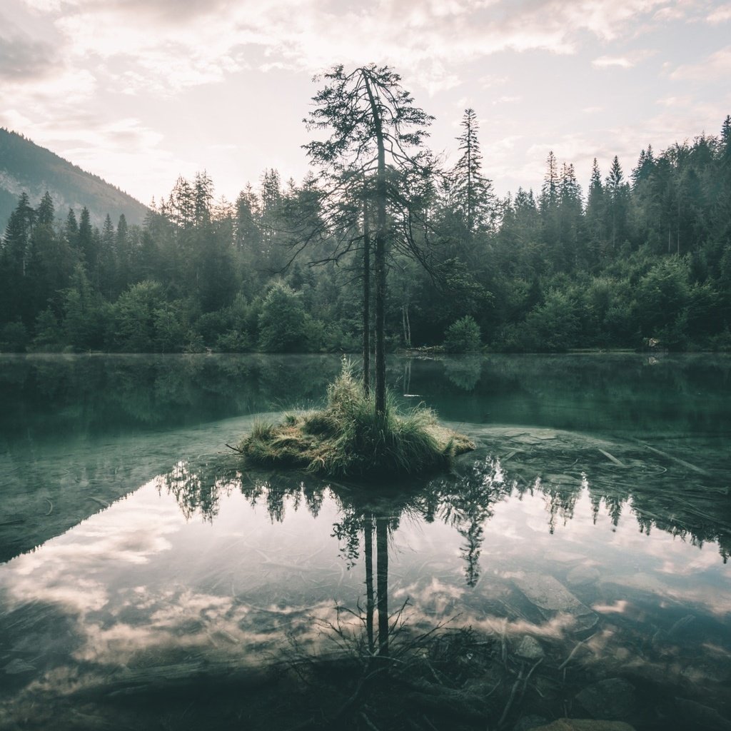 Обои небо, озеро, дерево, лес, отражение, ветки, the sky, lake, tree, forest, reflection, branches разрешение 2048x1365 Загрузить