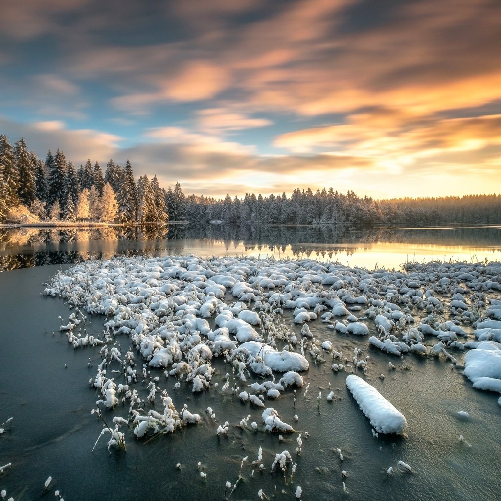 Обои небо, озеро, снег, лес, зима, утро, швейцария, the sky, lake, snow, forest, winter, morning, switzerland разрешение 2499x1562 Загрузить