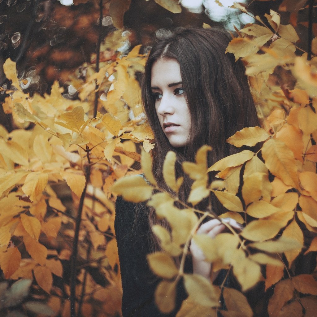 Обои природа, листья, девушка, брюнетка, взгляд, осень, nature, leaves, girl, brunette, look, autumn разрешение 2048x1367 Загрузить