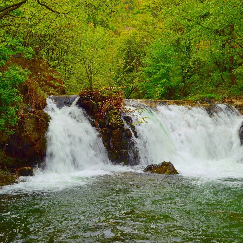 Обои деревья, река, природа, зелень, водопад, trees, river, nature, greens, waterfall разрешение 3006x1874 Загрузить