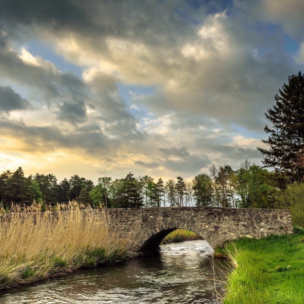 Обои небо, трава, облака, деревья, река, природа, мост, the sky, grass, clouds, trees, river, nature, bridge разрешение 2560x1709 Загрузить