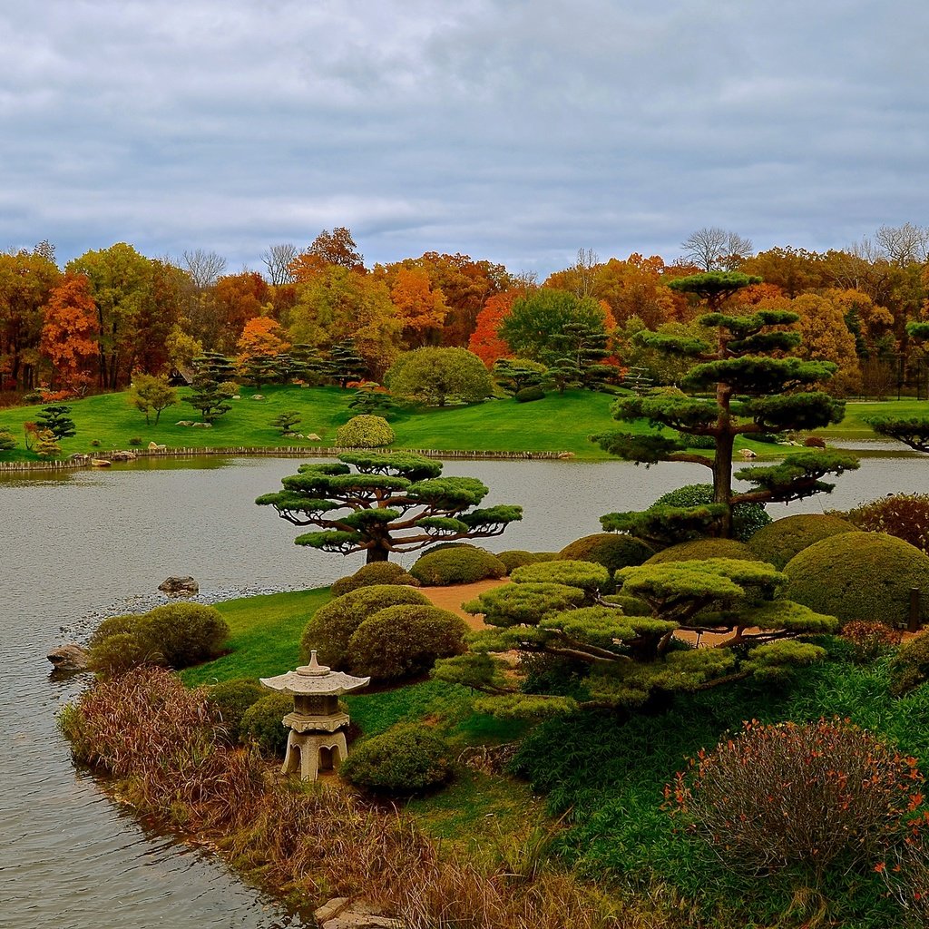 Обои трава, чикаго, деревья, botanic garden, дизайн, парк, кусты, осень, сша, пруд, grass, chicago, trees, design, park, the bushes, autumn, usa, pond разрешение 2525x1500 Загрузить