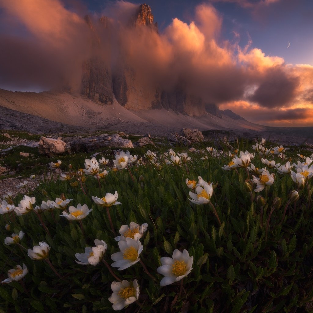 Обои свет, цветы, облака, горы, природа, весна, альпы, light, flowers, clouds, mountains, nature, spring, alps разрешение 1920x1693 Загрузить