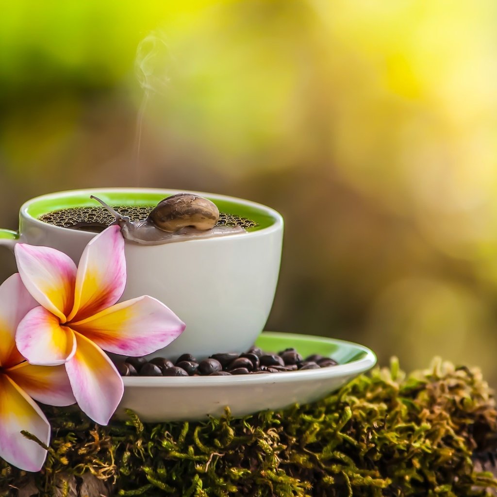 Доброе утро апреля картинки позитивные с пожеланиями. Чай с цветами. Кофе и цветы. Кофе на природе. Кофе с цветами.