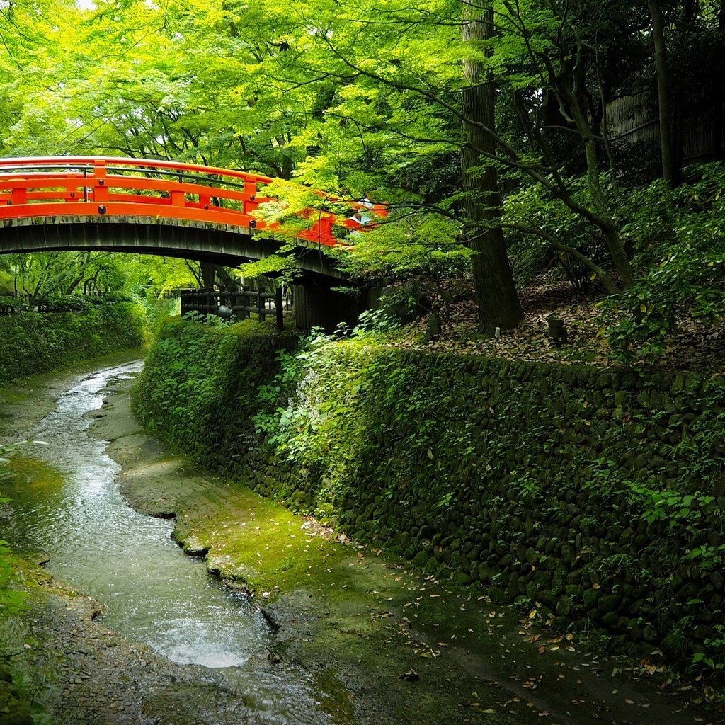 Обои деревья, вода, мостик, парк, канал, япония, trees, water, the bridge, park, channel, japan разрешение 2048x1152 Загрузить