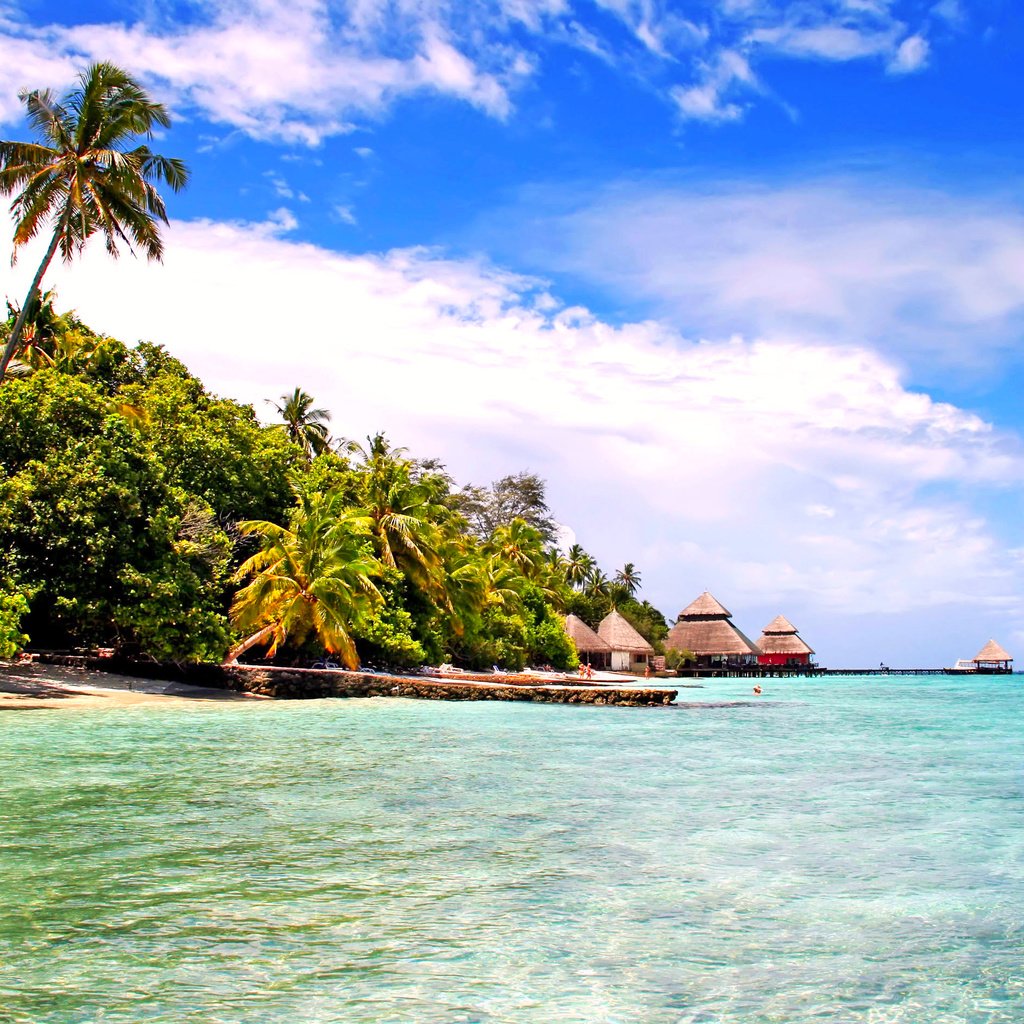 Обои море, пляж, отдых, остров, тропики, мальдивы, sea, beach, stay, island, tropics, the maldives разрешение 2848x1887 Загрузить