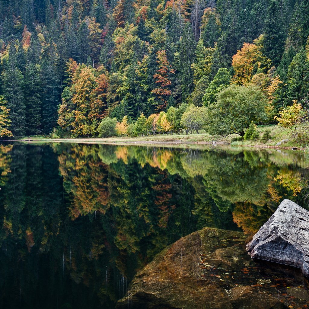 Обои озеро, природа, камни, отражение, пейзаж, леса, lake, nature, stones, reflection, landscape, forest разрешение 4285x2411 Загрузить