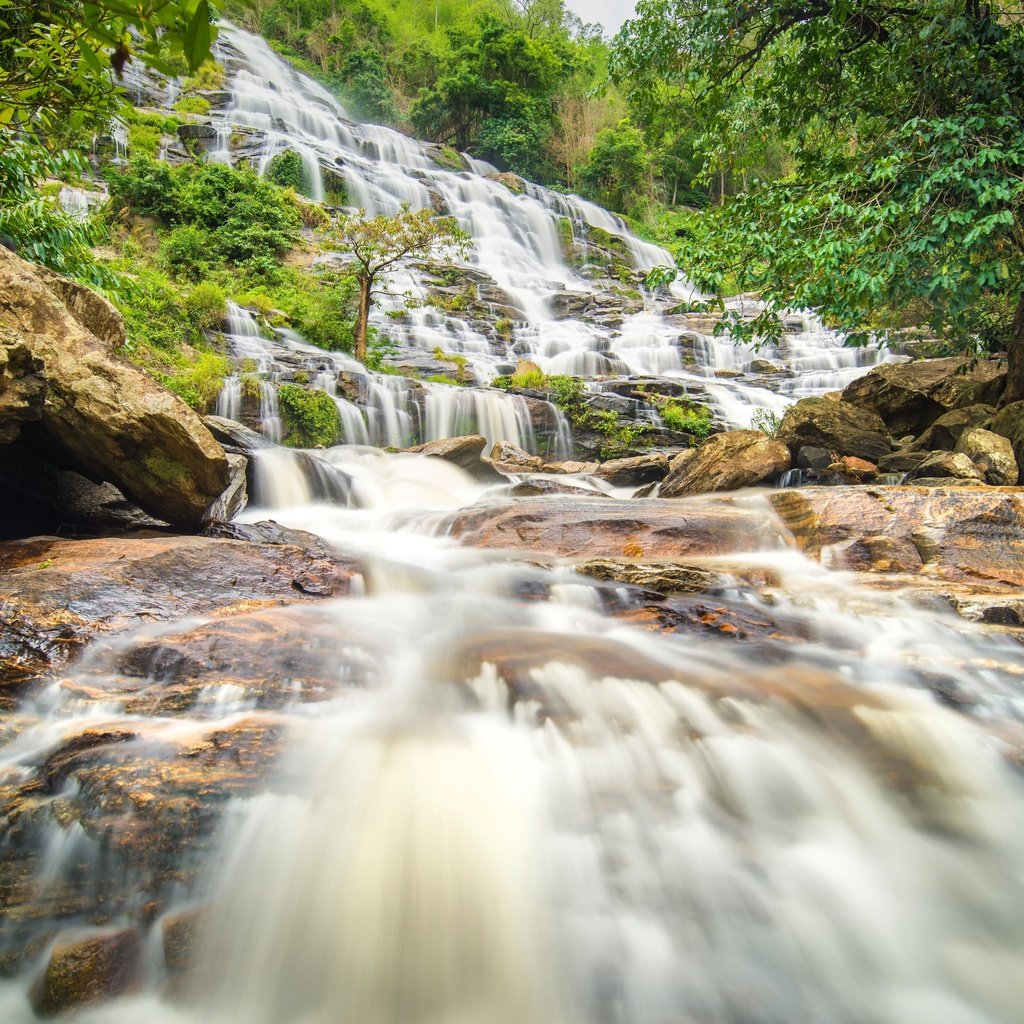 Обои река, лес, пейзаж, водопад, джунгли, каскад, river, forest, landscape, waterfall, jungle, cascade разрешение 6016x4016 Загрузить