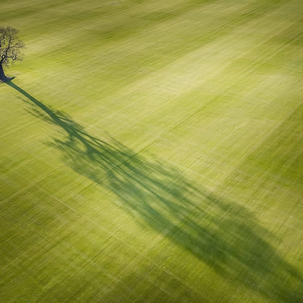 Обои свет, дерево, поле, тень, light, tree, field, shadow разрешение 2048x1274 Загрузить