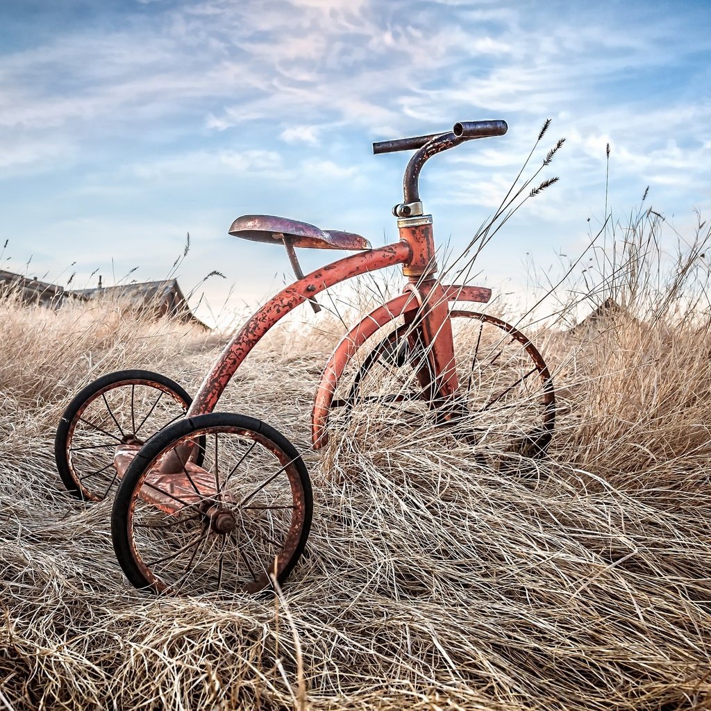 Обои небо, трава, облака, фон, велосипед, the sky, grass, clouds, background, bike разрешение 2048x1365 Загрузить