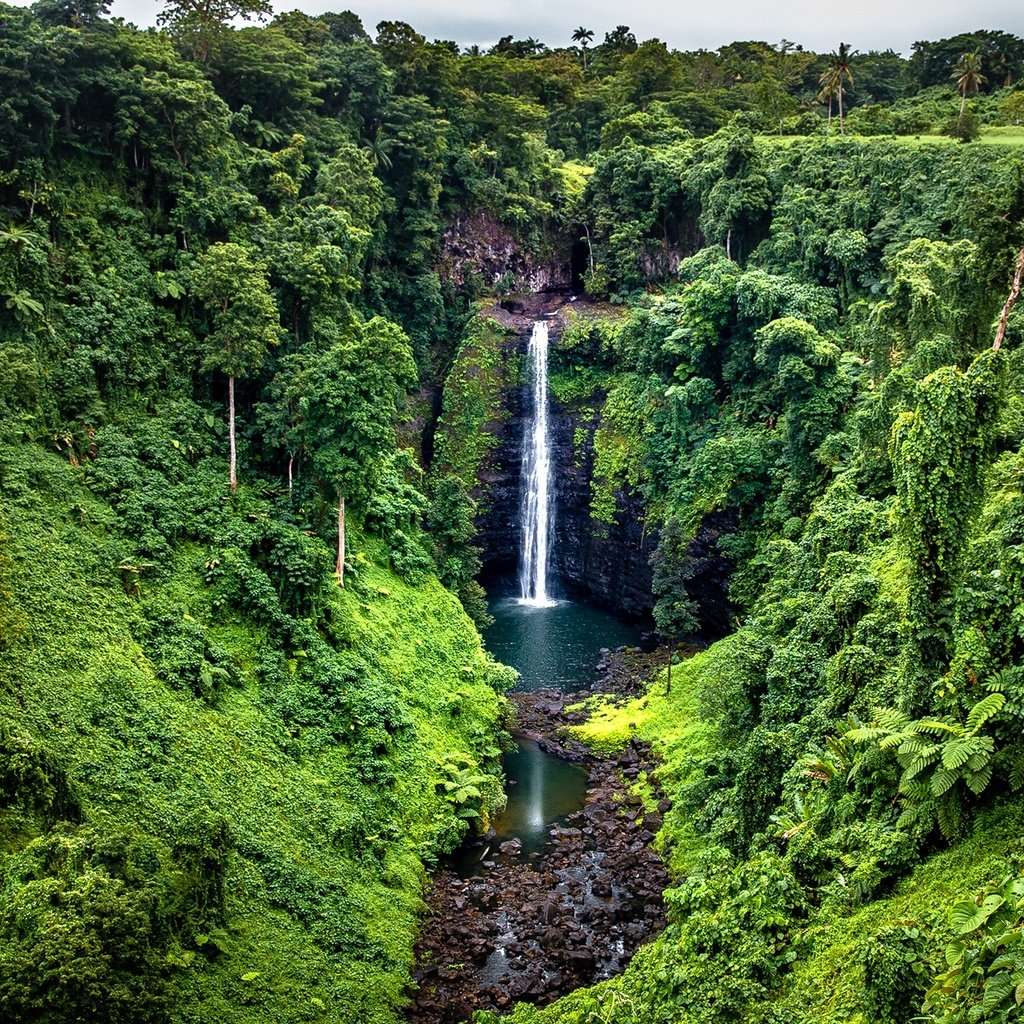 Обои деревья, samoa, камни, зелень, лес, скала, водопад, тропики, джунгли, trees, stones, greens, forest, rock, waterfall, tropics, jungle разрешение 1920x1361 Загрузить