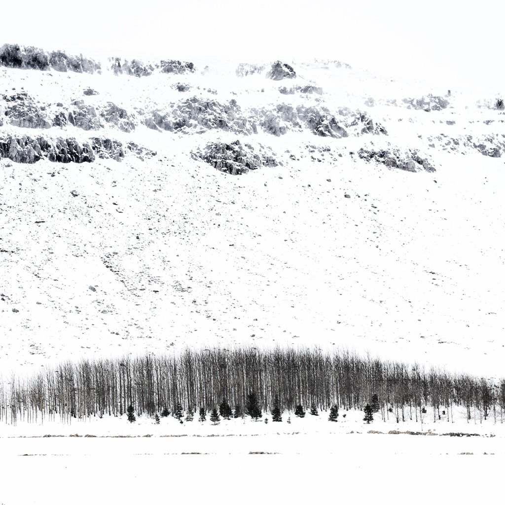 Обои деревья, снег, зима, исландия, trees, snow, winter, iceland разрешение 5247x3498 Загрузить