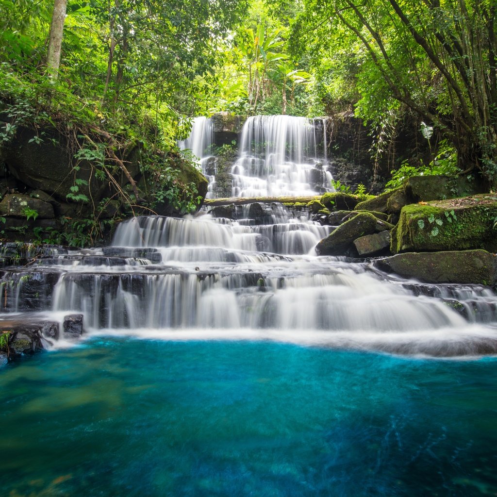 Обои деревья, река, камни, лес, водопад, мох, джунгли, trees, river, stones, forest, waterfall, moss, jungle разрешение 6016x4016 Загрузить