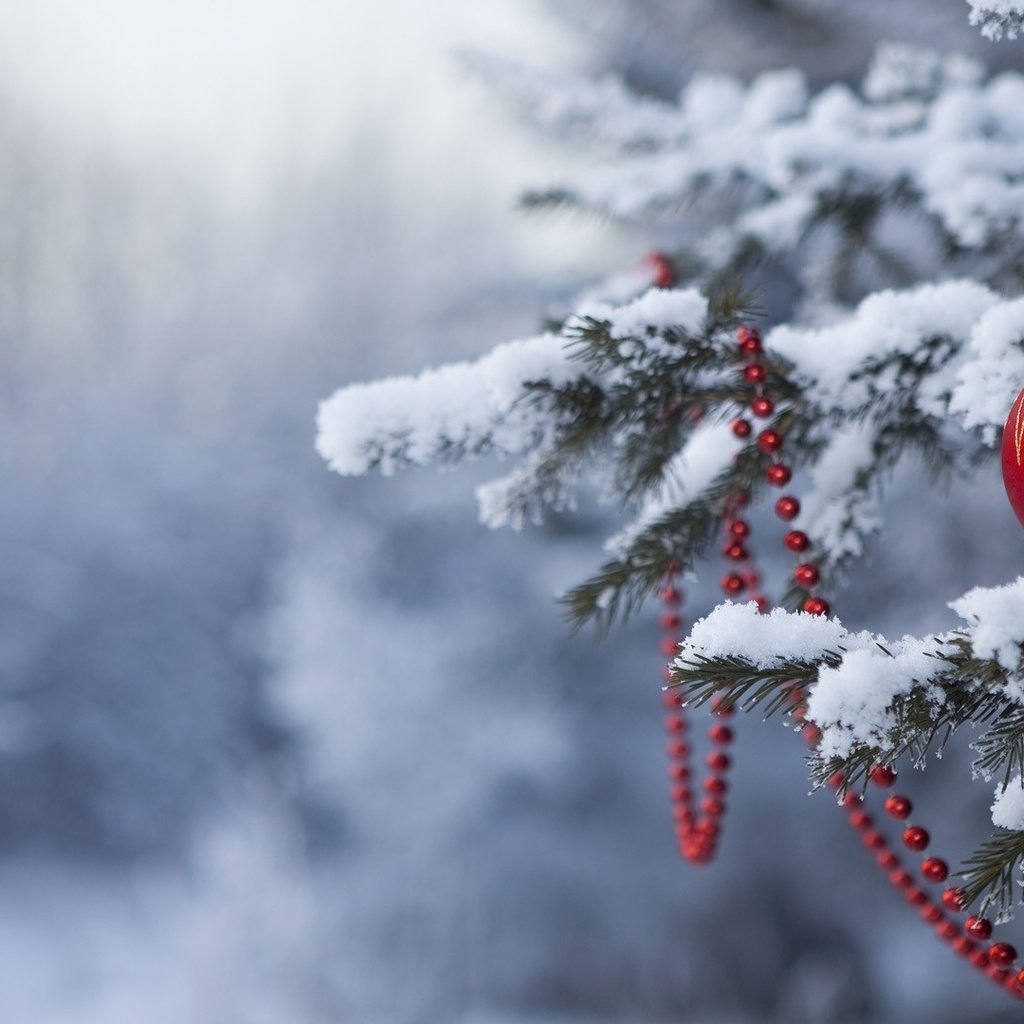 Обои снег, новый год, елка, лес, зима, шар, бусы, snow, new year, tree, forest, winter, ball, beads разрешение 1920x1080 Загрузить