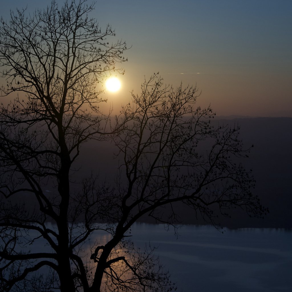 Обои дерево, утро, речка, tree, morning, river разрешение 1920x1200 Загрузить