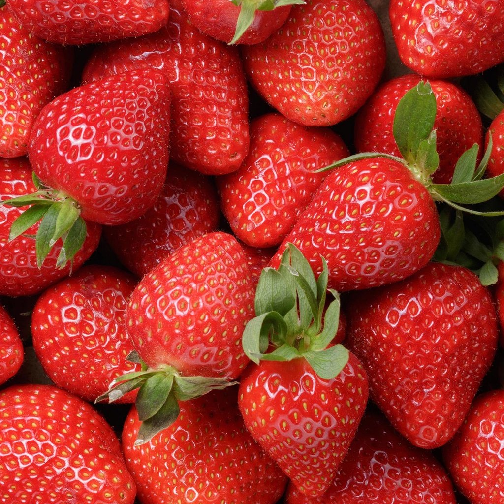 Обои клубника, ягоды, крупным планом, strawberry, berries, closeup разрешение 2560x1600 Загрузить