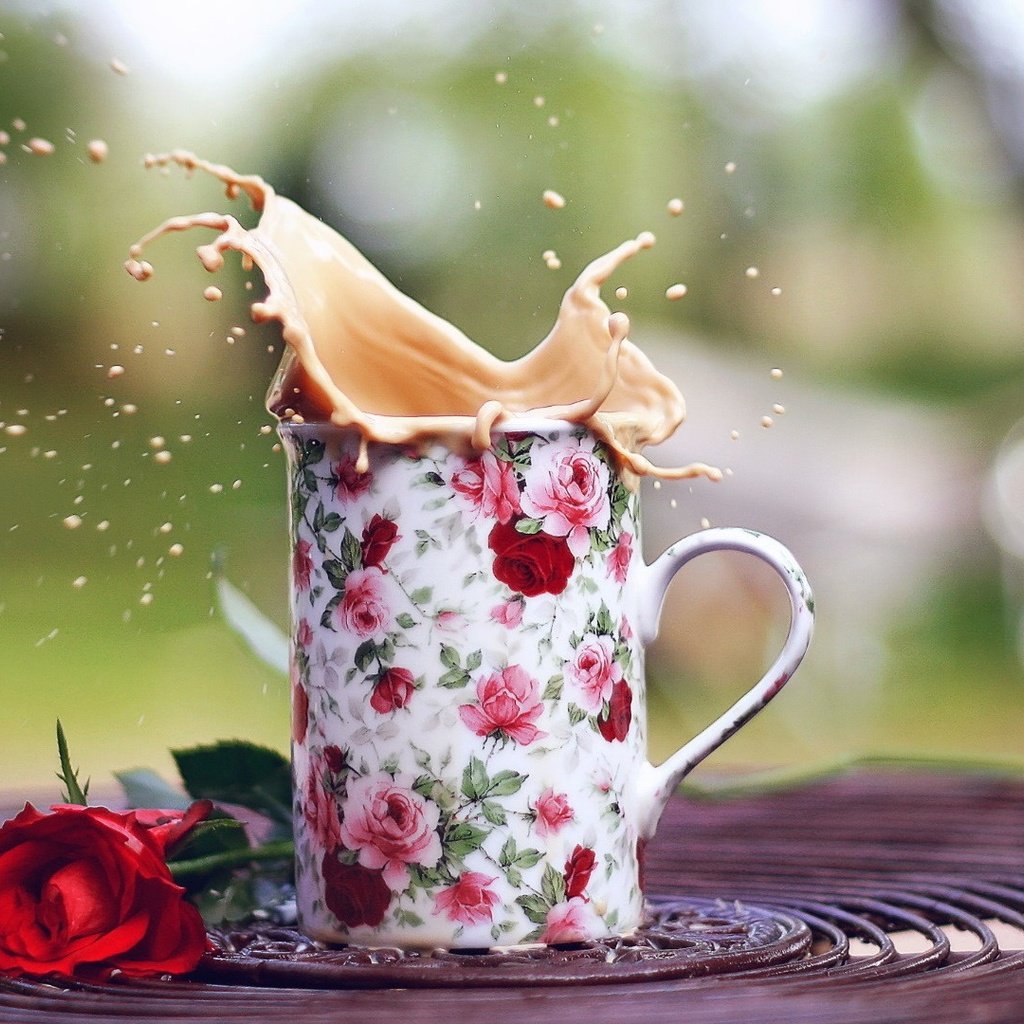 Обои напиток, цветок, роза, кофе, кружка, всплеск, капучино, drink, flower, rose, coffee, mug, splash, cappuccino разрешение 1920x1080 Загрузить