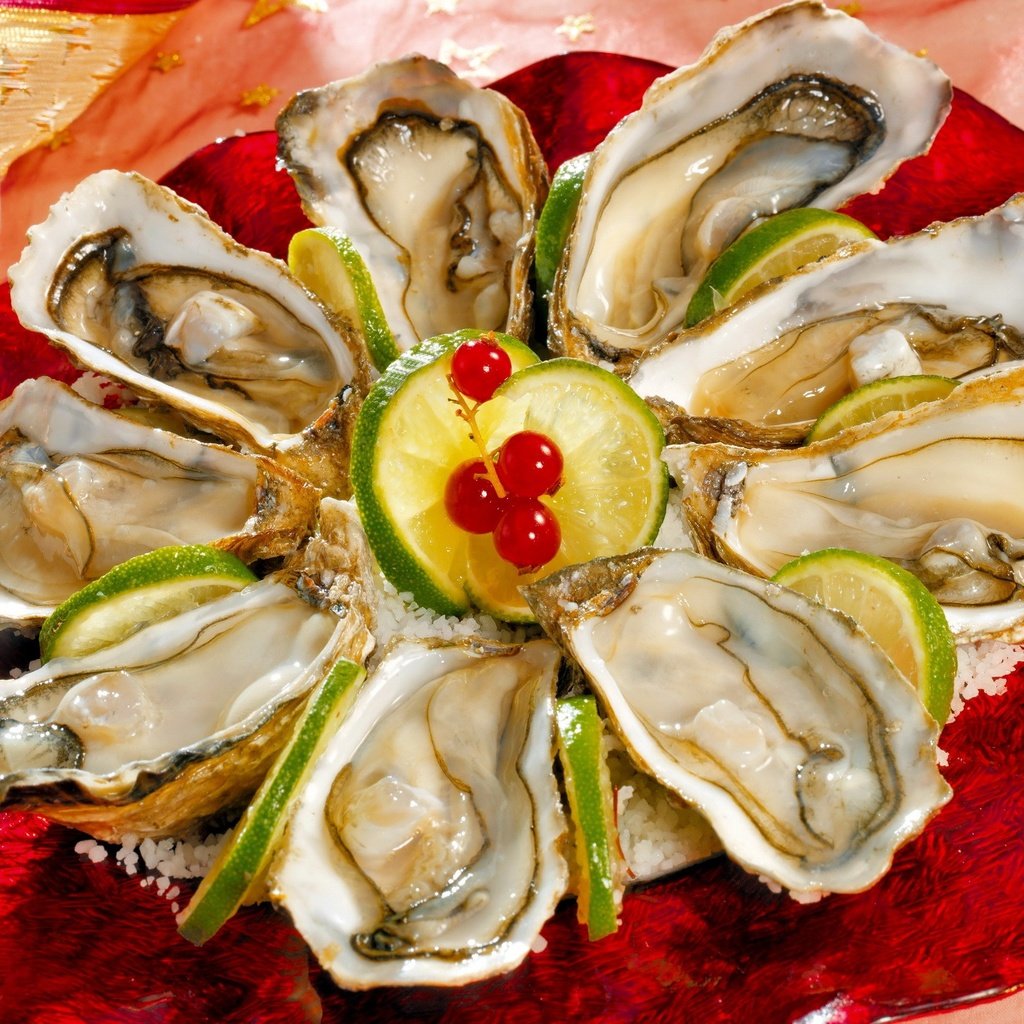 Обои лайм, смородина, раковины, закуска, морепродукты, мидии, моллюски, устрицы, lime, currants, shell, appetizer, seafood, mussels, shellfish, oysters разрешение 2240x1680 Загрузить