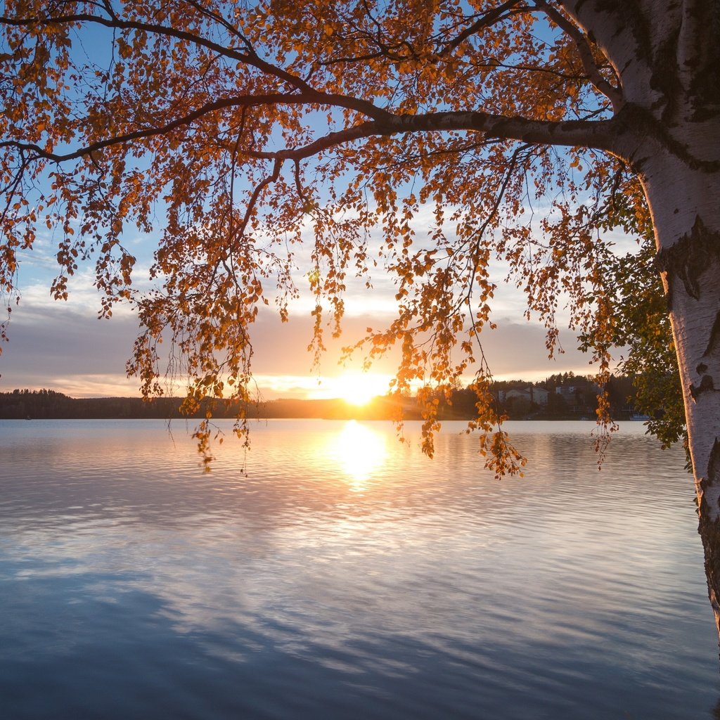 Обои озеро, природа, дерево, закат, пейзаж, осень, lake, nature, tree, sunset, landscape, autumn разрешение 2880x1800 Загрузить