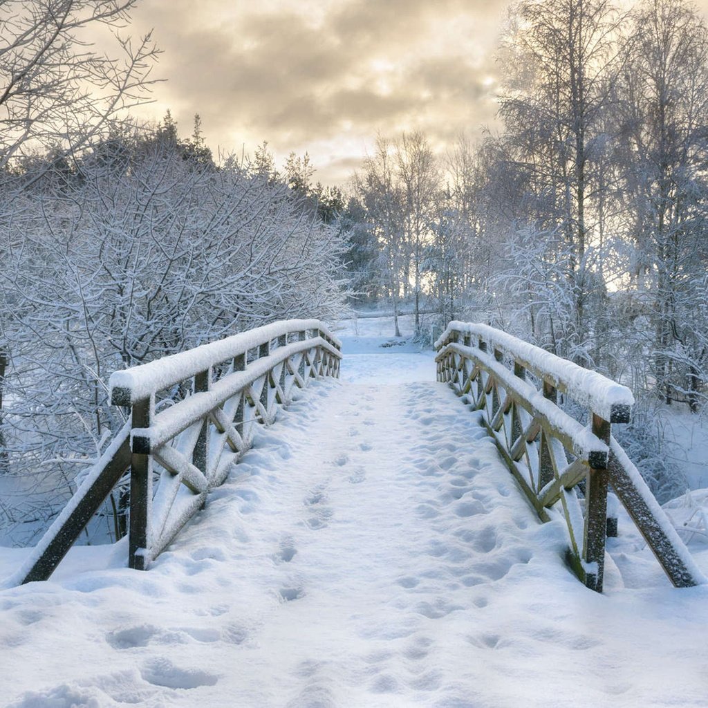 Обои деревья, снег, природа, зима, мост, следы, польша, trees, snow, nature, winter, bridge, traces, poland разрешение 1920x1200 Загрузить