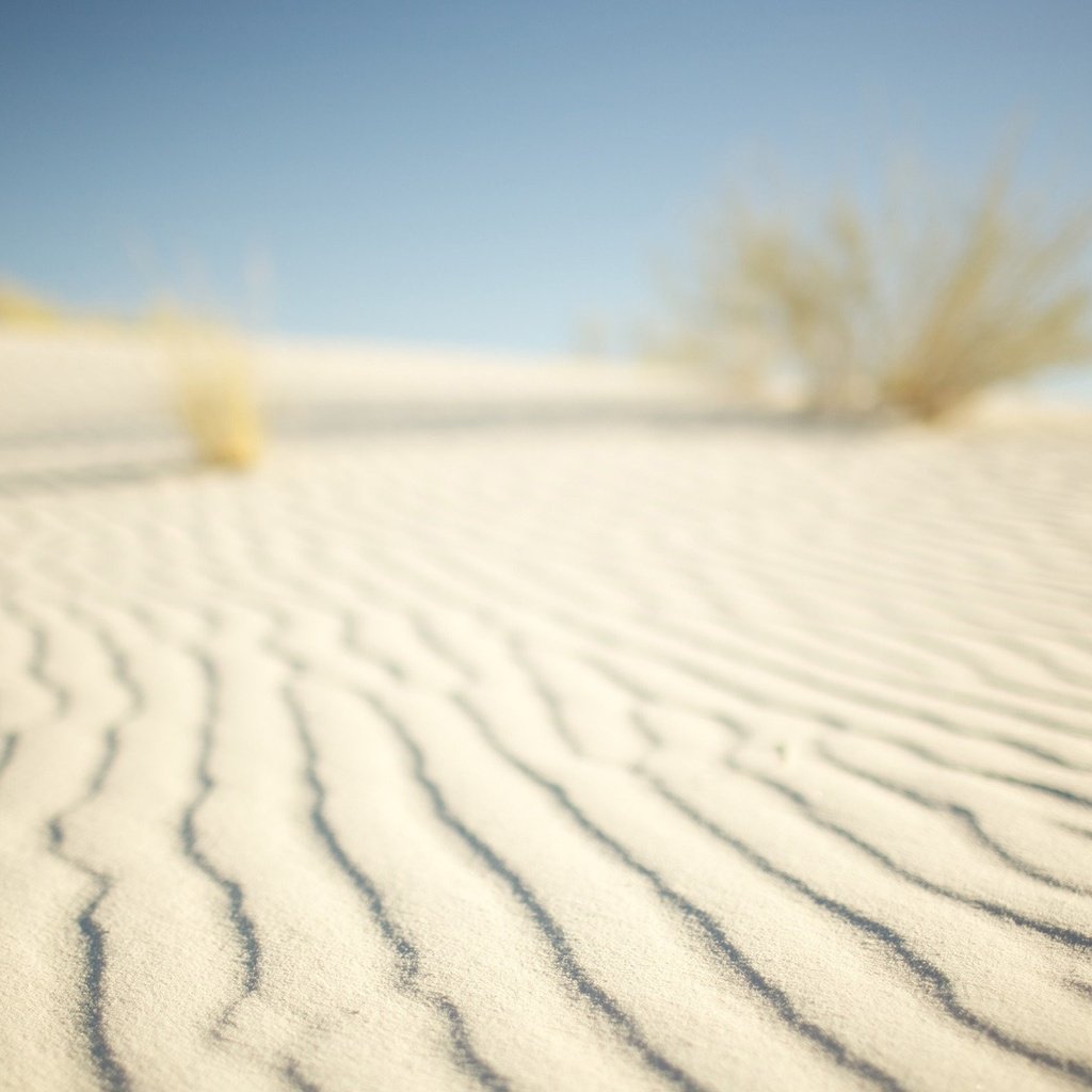 Обои небо, песок, пустыня, белый песок, the sky, sand, desert, white sand разрешение 2560x1600 Загрузить