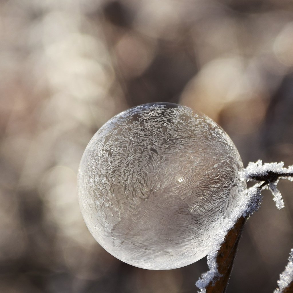 Обои зима, настроение, мороз, иней, пузырь, мыльный пузырь, winter, mood, frost, bubble разрешение 1920x1312 Загрузить