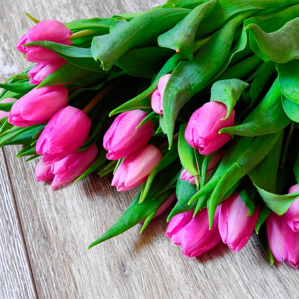 Обои цветы, весна, букет, тюльпаны, розовые, деревянная поверхность, flowers, spring, bouquet, tulips, pink, wooden surface разрешение 3840x2880 Загрузить