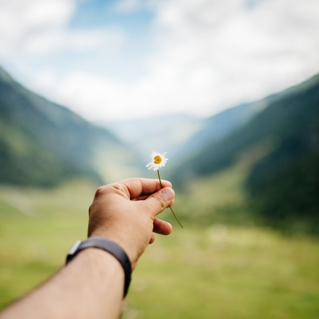 Обои рука, цветок, часы, ромашка, hand, flower, watch, daisy разрешение 3000x2000 Загрузить