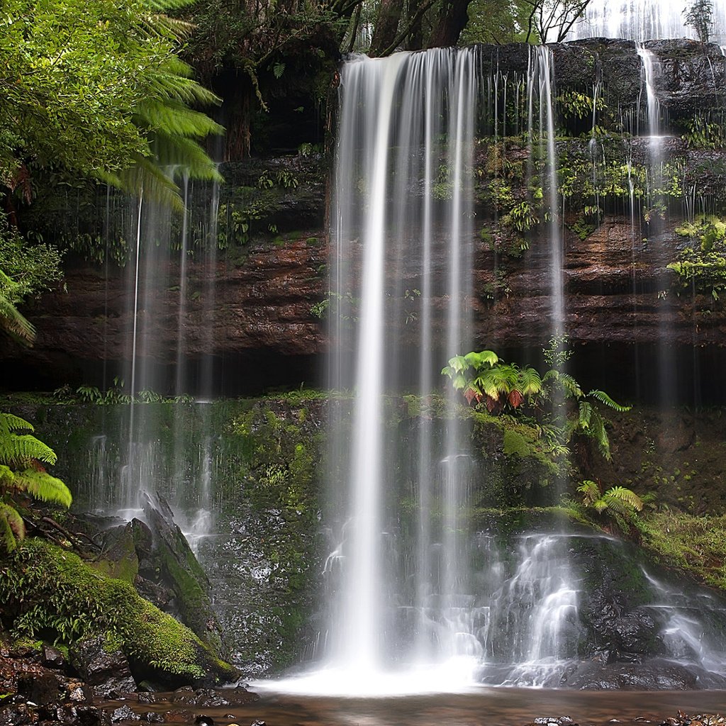 Обои водопад, австралия, тасмания, russell falls, mount field national park, waterfall, australia, tasmania разрешение 1920x1200 Загрузить