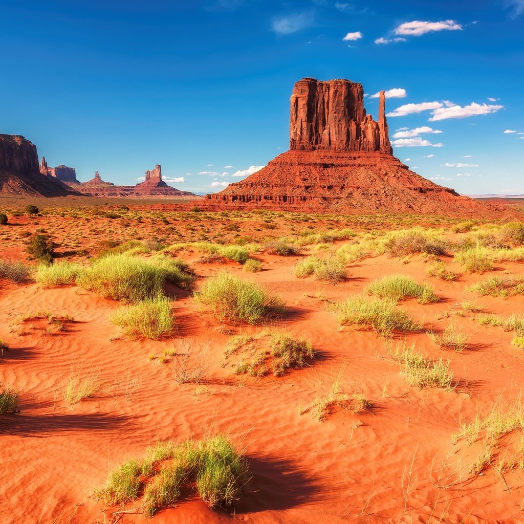 Обои трава, горы, скалы, пустыня, сша, аризона, долина монументов, grass, mountains, rocks, desert, usa, az, monument valley разрешение 1920x1282 Загрузить