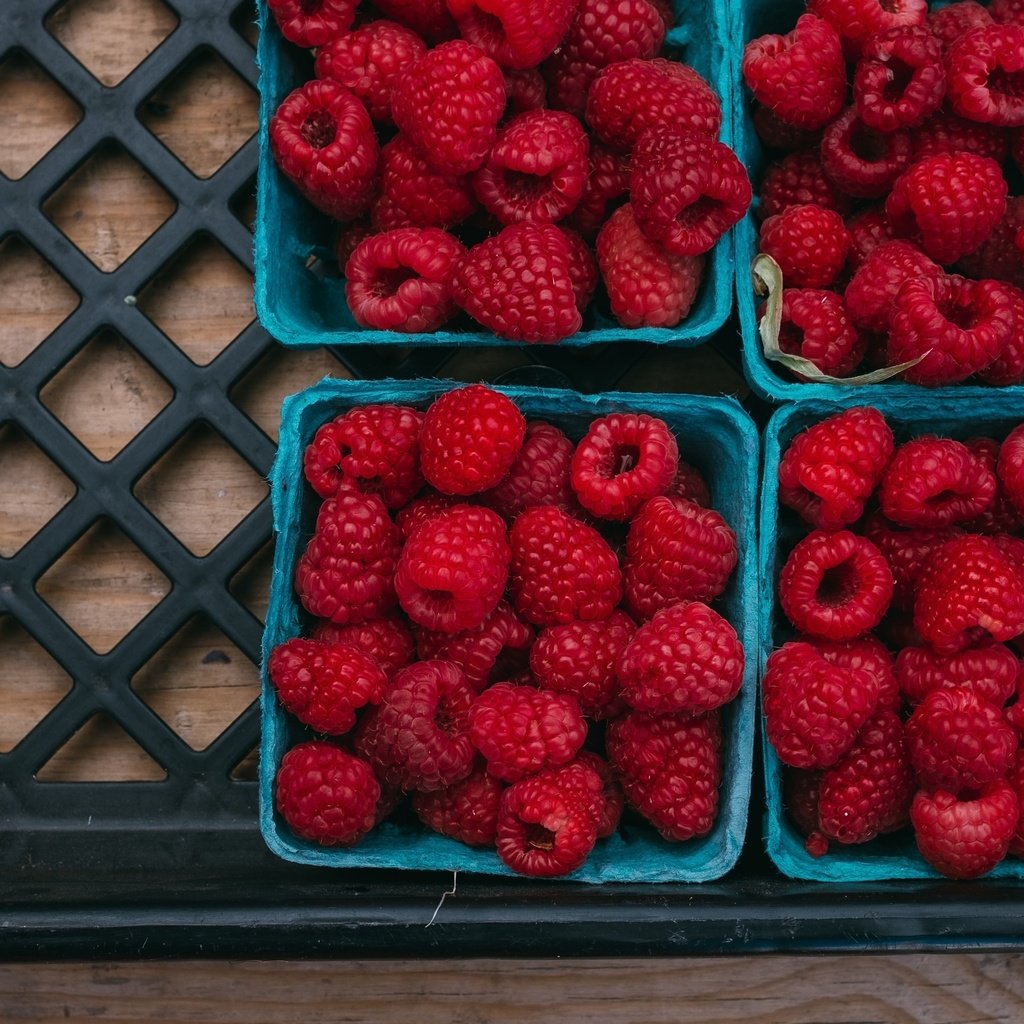 Обои малина, ягоды, много, урожай, контейнеры, ящик, коробочки, raspberry, berries, a lot, harvest, containers, box, boxes разрешение 3072x1728 Загрузить