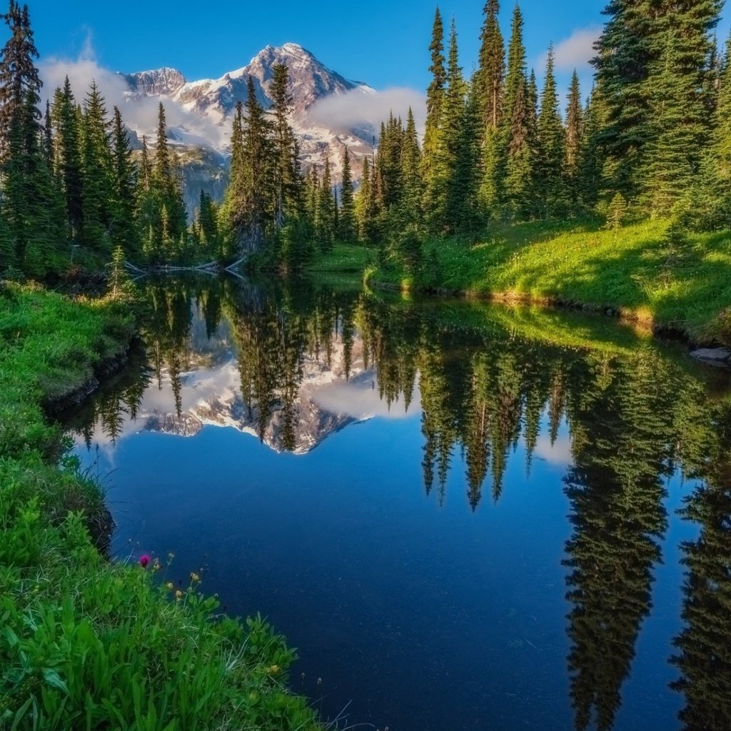 Обои небо, трава, деревья, река, горы, лес, отражение, the sky, grass, trees, river, mountains, forest, reflection разрешение 1920x1200 Загрузить