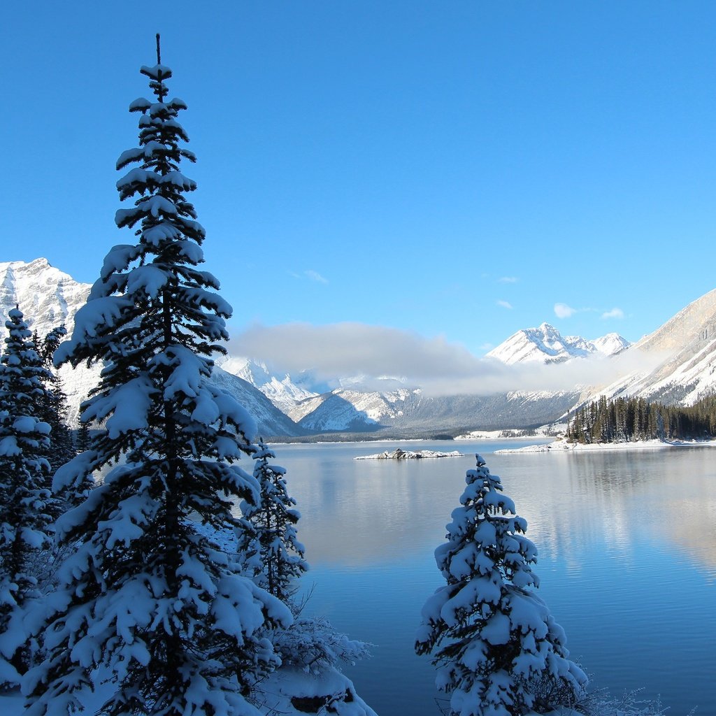 Обои небо, деревья, озеро, горы, снег, зима, ели, the sky, trees, lake, mountains, snow, winter, ate разрешение 2560x1600 Загрузить