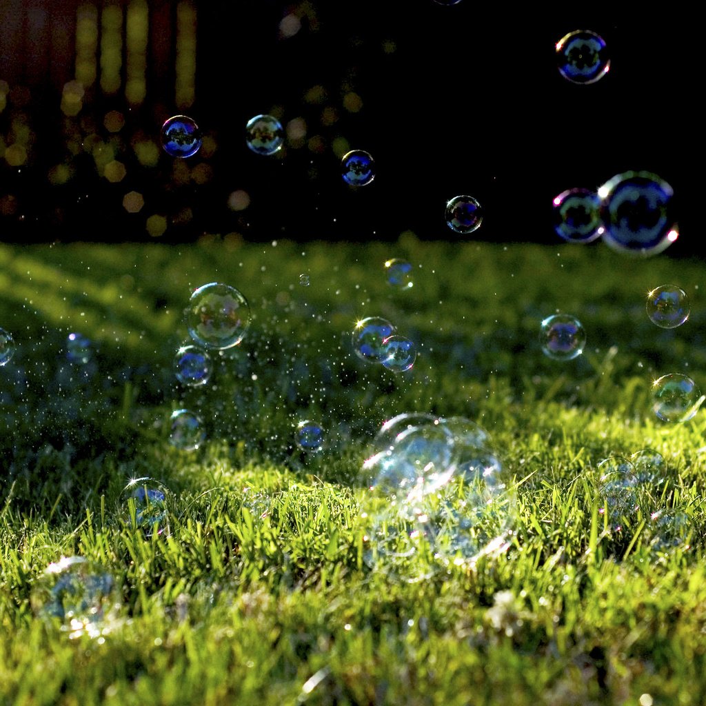 Обои трава, природа, растение, лужайка, мыльные пузыри, мыльные пузырики, grass, nature, plant, lawn, bubbles, soap bubbles разрешение 2880x1800 Загрузить