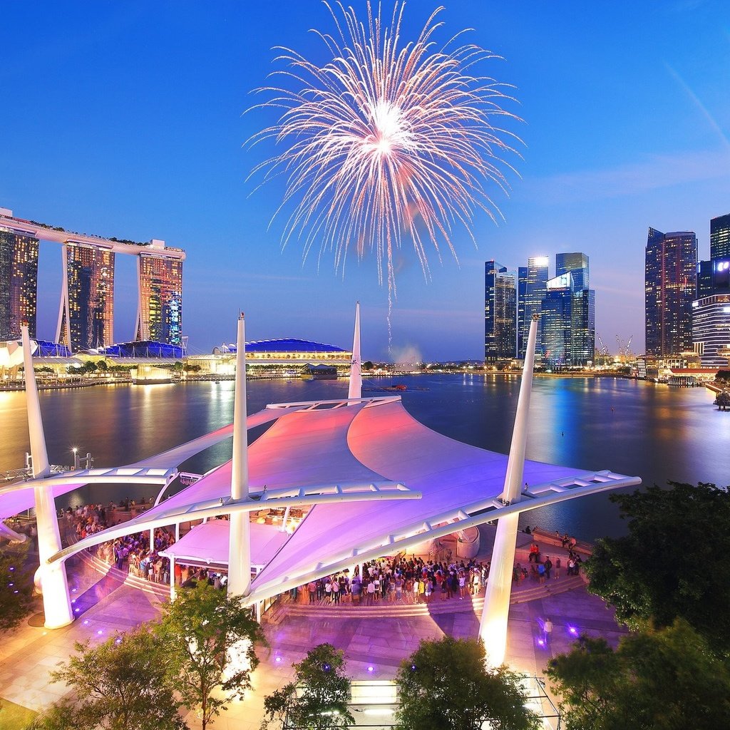 сингапур салют огни Singapore salute lights загрузить