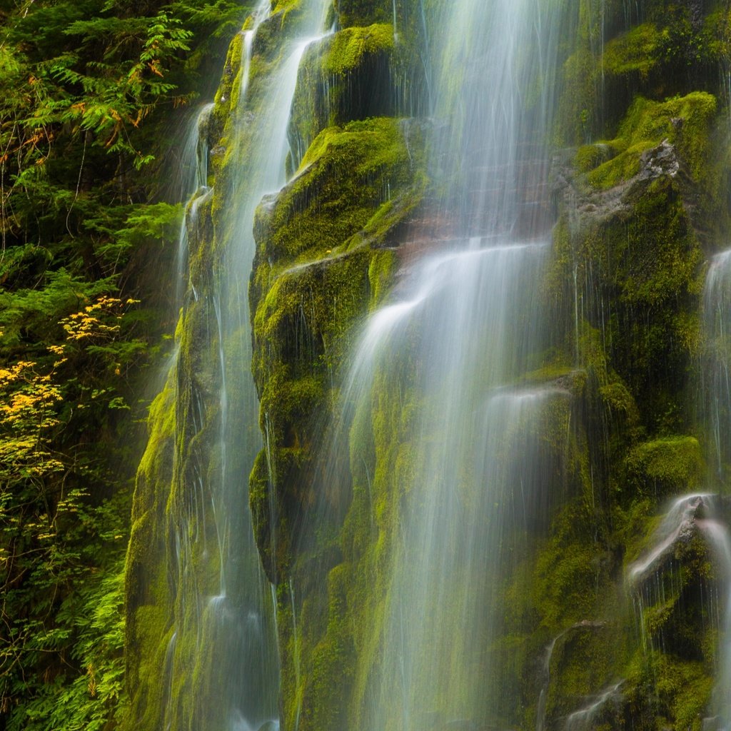 Обои природа, водопад, сша, мох, орегон, nature, waterfall, usa, moss, oregon разрешение 4652x2957 Загрузить