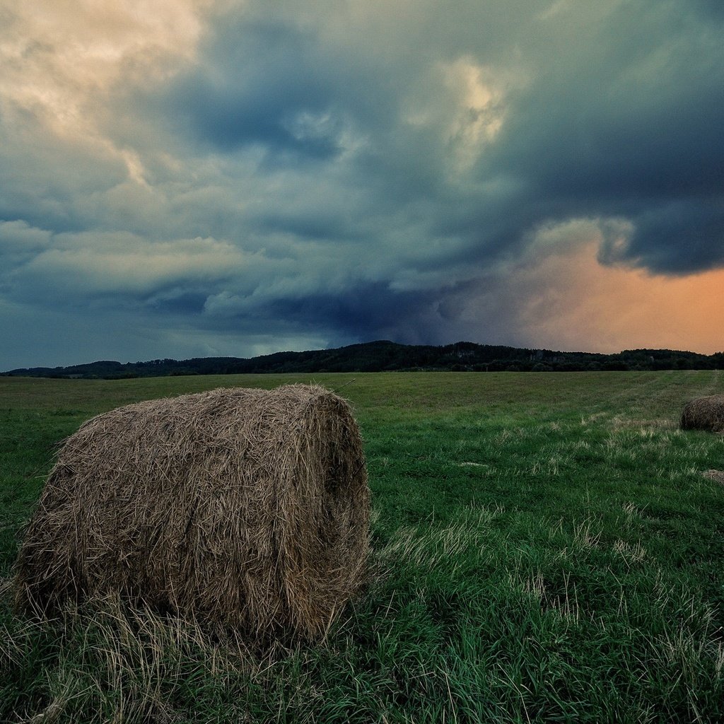 Обои небо, трава, облака, поле, горизонт, сено, тюки, рулоны, the sky, grass, clouds, field, horizon, hay, bales, rolls разрешение 1920x1275 Загрузить