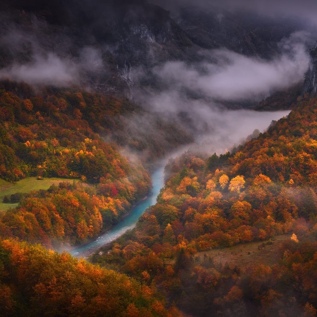 Обои деревья, река, горы, лес, туман, вид сверху, осень, trees, river, mountains, forest, fog, the view from the top, autumn разрешение 2000x1125 Загрузить