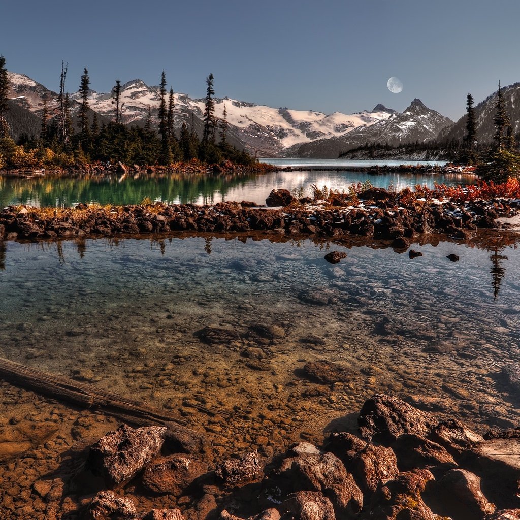 Обои деревья, вода, горы, снег, камни, речка, trees, water, mountains, snow, stones, river разрешение 2560x1600 Загрузить